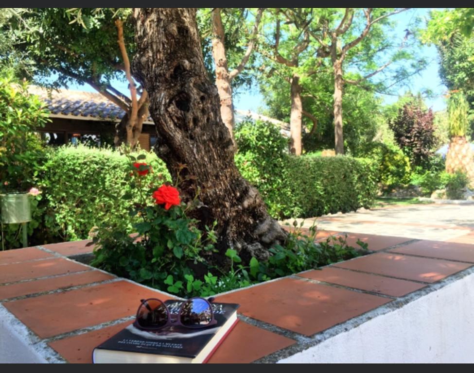 Hotel Alcadima Lanjarón Dış mekan fotoğraf