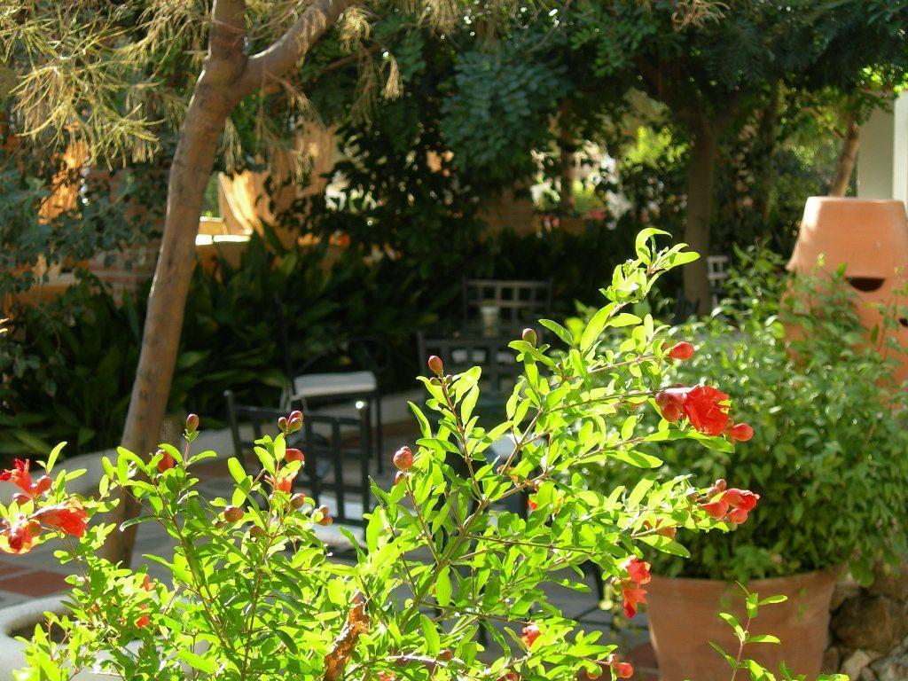 Hotel Alcadima Lanjarón Dış mekan fotoğraf